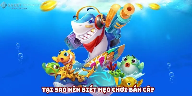 Tại sao nên biết mẹo chơi bắn cá?